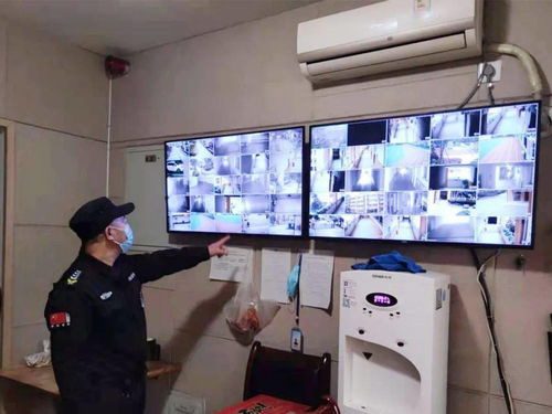 开学季：从“心”出发，“犇”向新学期